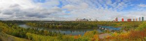 McNally View - Edmonton